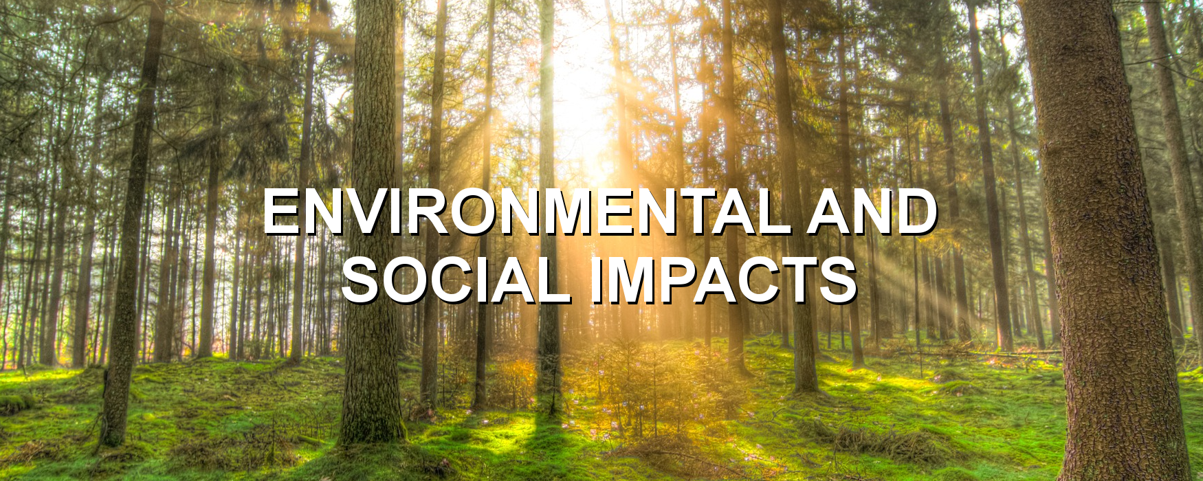 env and social w drop.png
